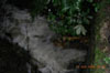 r0018737.jpg