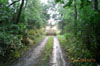 r0018744.jpg