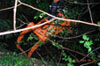 r0018748.jpg