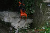 r0018755.jpg