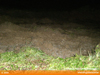 cimg6849.jpg