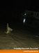 cimg6855.jpg