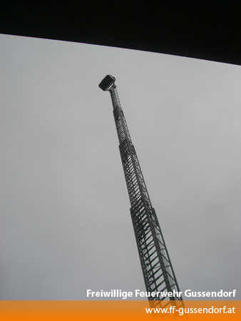 cimg7310.jpg