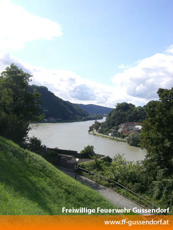 cimg8782.jpg