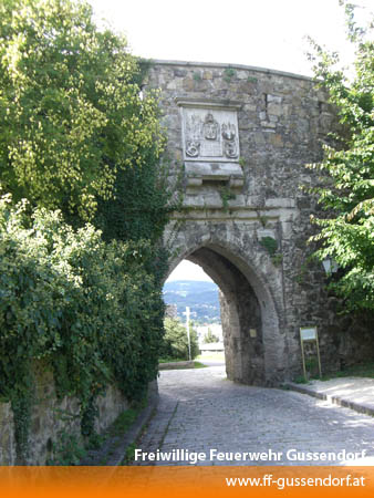 cimg8785.jpg