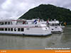 cimg8665.jpg