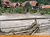 cimg9973.jpg