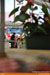 dsc_0224.jpg